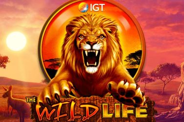 the wild life slot free